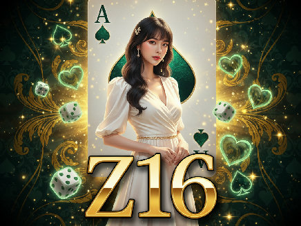 z16 ทางเข้า